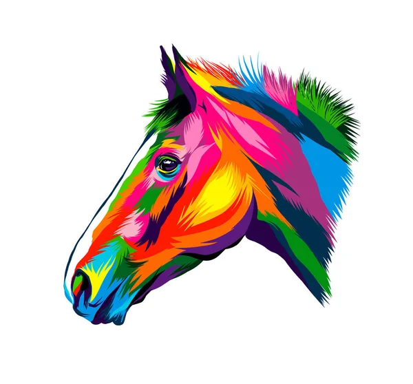Cabeza de caballo retrato de pinturas multicolores. Salpicadura de acuarela, dibujo en color, realista — Vector de stock