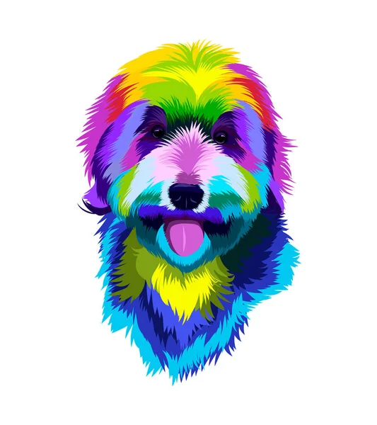 Labradoodle ritratto della testa di cane da vernici multicolori. Labrador Splash di acquerello, disegno colorato, realistico — Vettoriale Stock