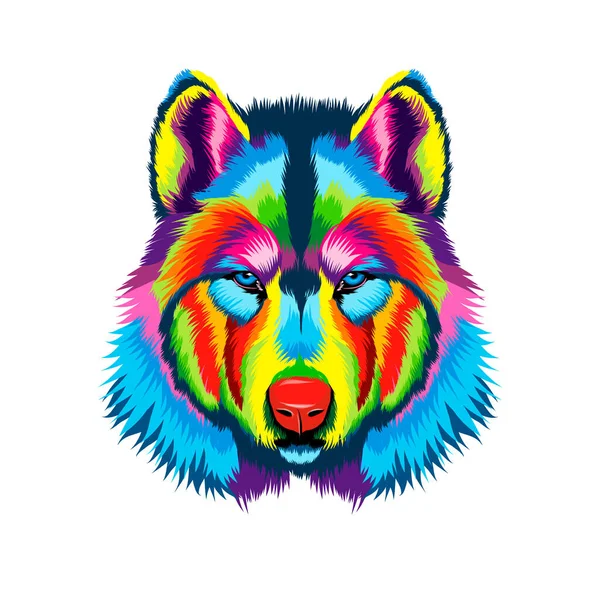 Πορτραίτο κεφαλής λύκου από πολύχρωμα χρώματα. Splash υδατογραφία, πολύχρωμο σχέδιο, ρεαλιστική — Διανυσματικό Αρχείο