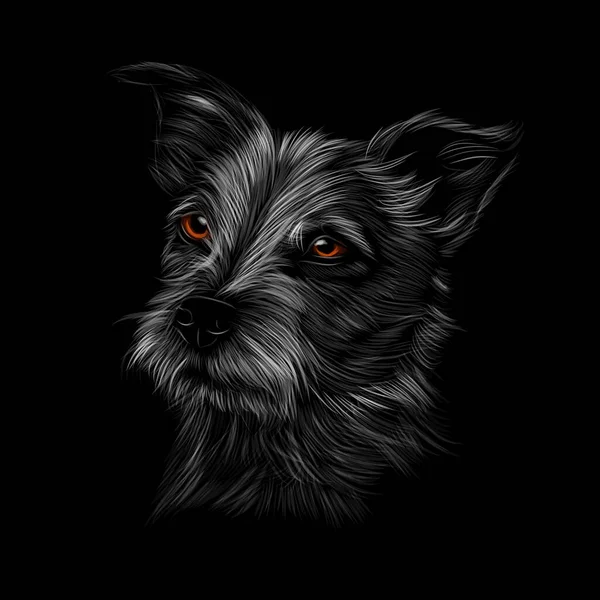 Jack Russell Terrier Kopfporträt auf schwarzem Hintergrund — Stockvektor