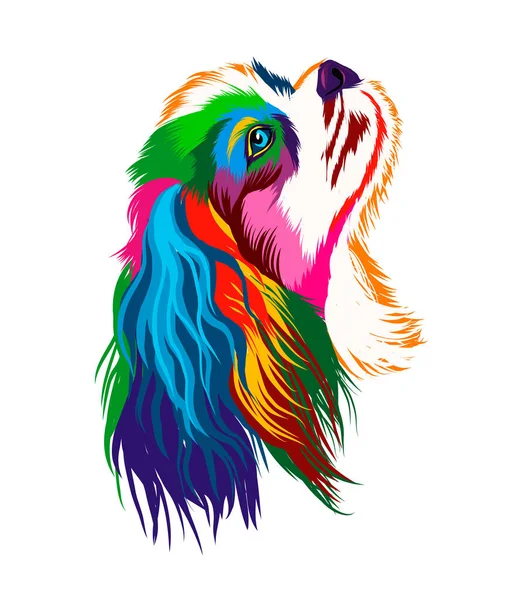 Cavalier re charles spaniel da vernici multicolore. Schizzo di acquerello, disegno a colori, realistico Grafiche Vettoriali