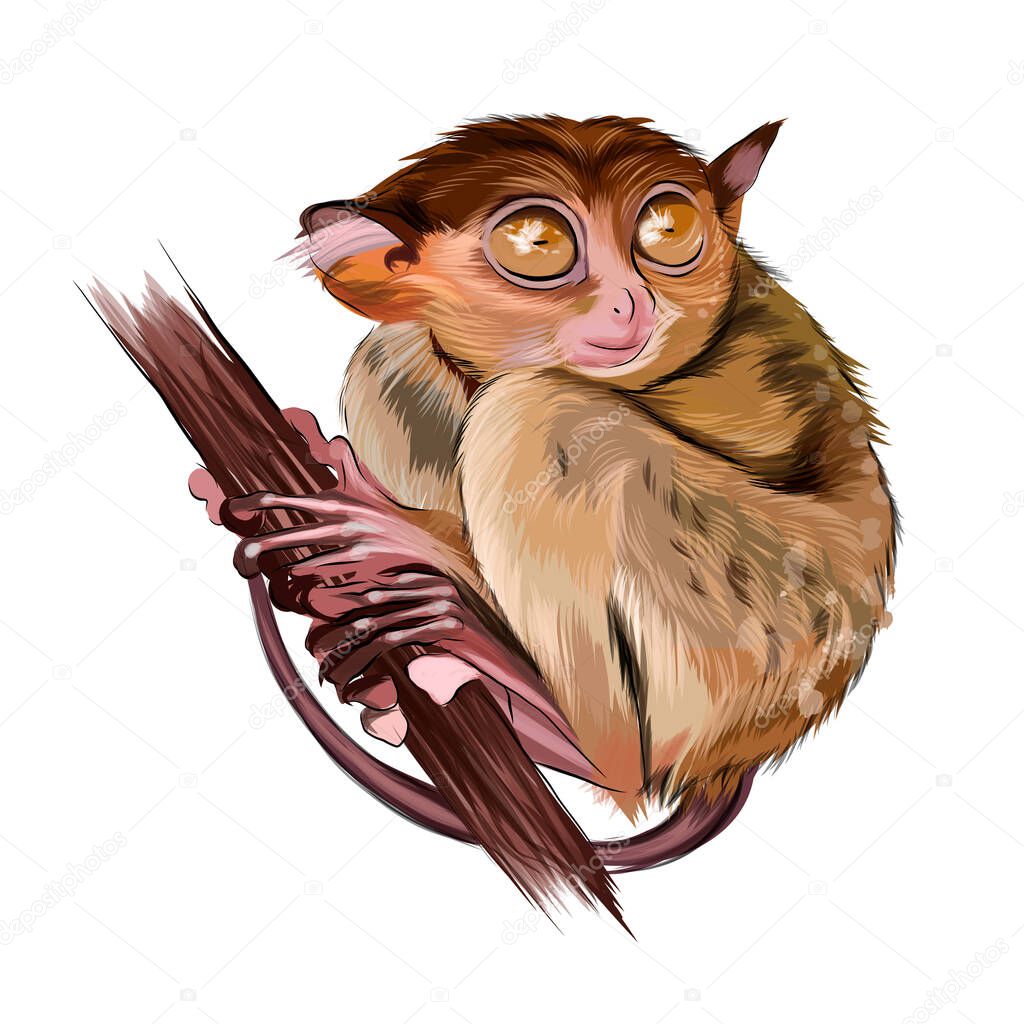 Lemur tarsier sitting on a branch from multicolored paints. Splash of watercolor, colorful drawing, realistic