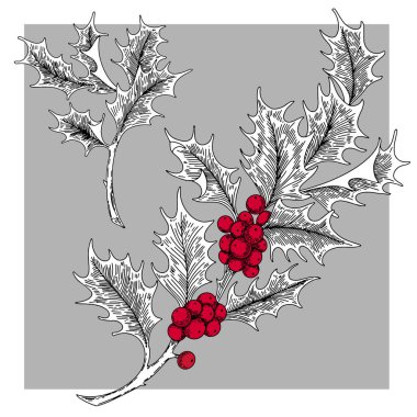 Bir Noel kutsallığının vektör görüntüsü. Gri arkaplanda renkli çizim.