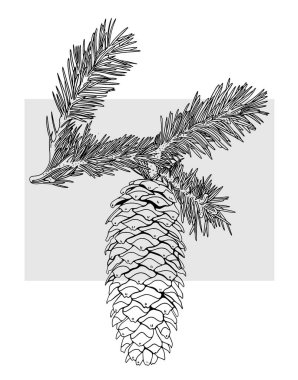 Dalları olan bir Noel ağacı konisinin vektör görüntüsü. Gri arkaplanda satır ve doldur.