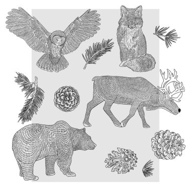 Orman hayvanları gri arka planda çizgilerle çizilmiş. Baykuş, ayı, tilki ve geyik. Kartpostallar, ambalajlar veya tekstil için elverişli.