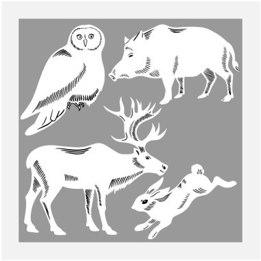 Gri arka planda çizilmiş orman hayvanları. Baykuş, tavşan, geyik ve domuz. Kartpostallar, ambalajlar veya tekstil için elverişli.