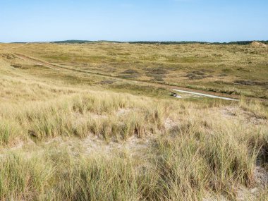 Batı Frizya adası Vlieland, Friesland, Hollanda 'daki kum tepelerinde bisiklet pisti ve marram çimleri