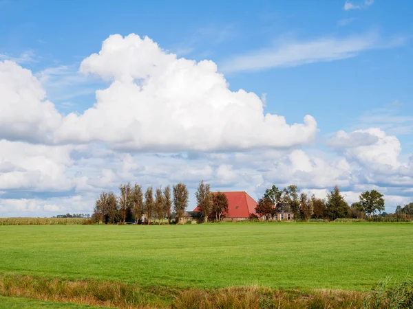 Grunty Rolne Gospodarstwo Rolne Północ Grou Friesland Holandia — Zdjęcie stockowe