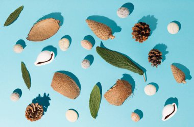 Yaprak, taş, kabuk, kozalak, ceviz ve hindistan cevizi kabuğu deseni. Düz yatış, üst görünüm