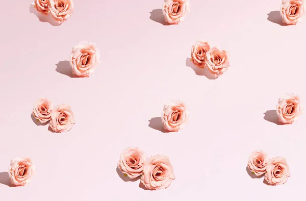 Marco Hecho Rosas Rosadas Flores Sobre Fondo Rosa San Valentín — Foto de Stock