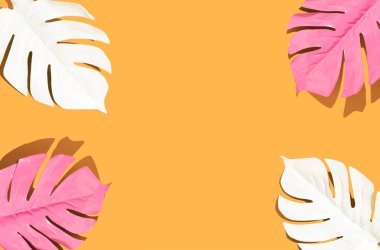 White and pink monstera leavs in corner on yelow background. Copy space. Minimal summer concept. Flat lay