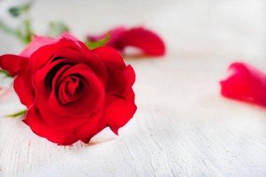 Beyaz rustik ahşap masa arkasında güzel kırmızı gül ve gül yaprakları, Sevgililer Günü konsepti