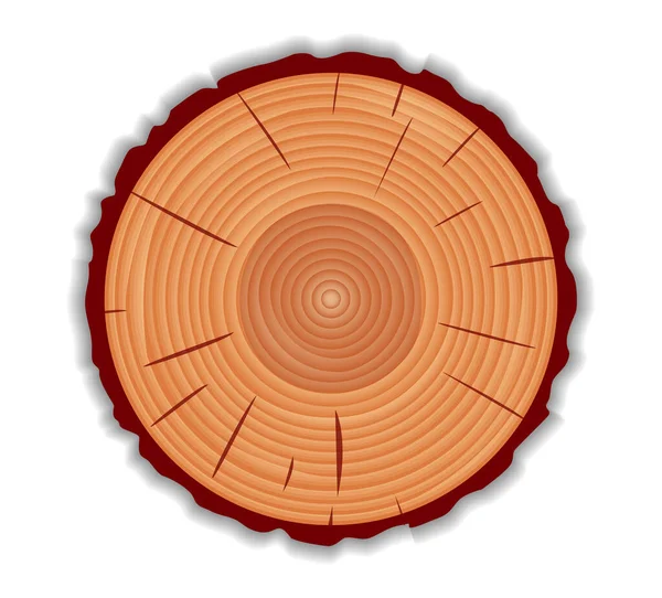 Illustration Des Baumringhintergrundes Und Gesägte Baumstamm Braune Silhouette Detaillierte Textur — Stockvektor
