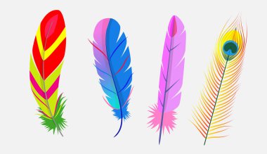 Gerçekçi renkli kuş tüyü seti. Kaz tüyü beyaz arka planda izole edilmiş. Çeşitli şekil ve renklerde kaz tüyü.