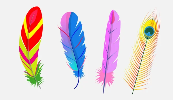 Realistic Colorful Feather Birds Set Goose Feather Isolated White Background — Archivo Imágenes Vectoriales