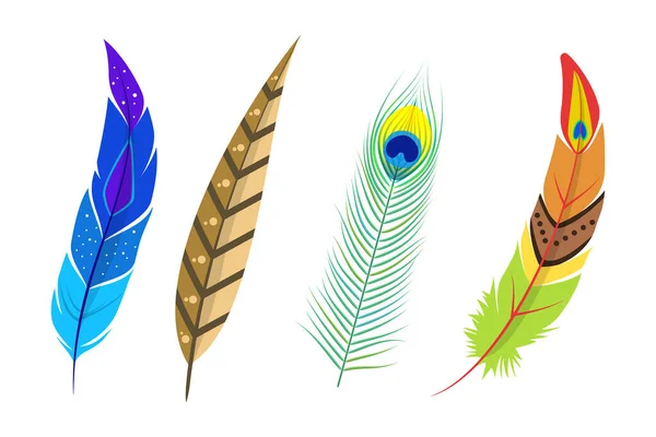 Realistic Colorful Feather Birds Set Goose Feather Isolated White Background — Stockvektor