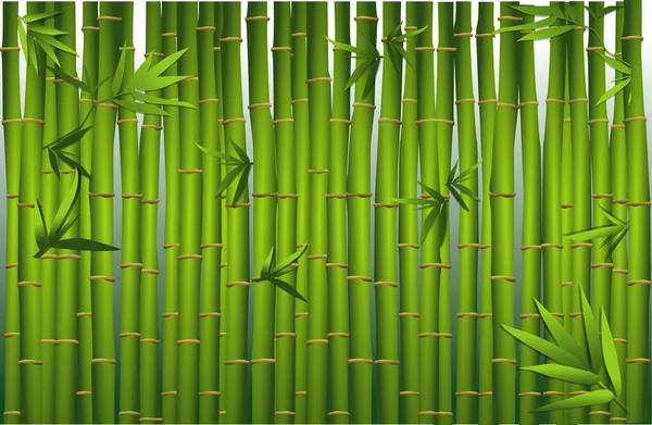bamboo oriental seamless pattern. chinese japanese bamboo grass oriental wallpaper. green natural tropical plant background with bamboo stems leaves.