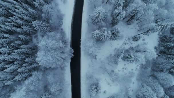 Épopée cinématographique aérienne de la route forestière enneigée d'hiver — Video