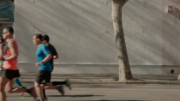 Skupina běžců soutěžit v maratonu nebo triatlonu — Stock video