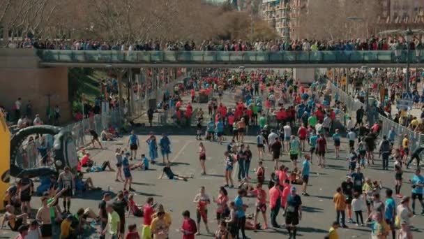 Skupina běžců soutěžit v maratonu nebo triatlonu — Stock video