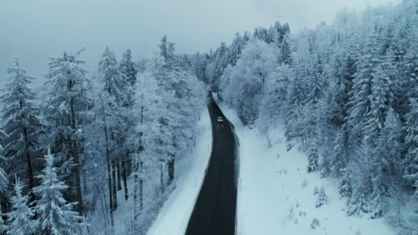 Aerial épico cinematográfico de neve estrada floresta de inverno — Vídeo de Stock