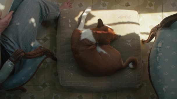 Dog sleeping in bed next to girl sitting in chair — Stock videók