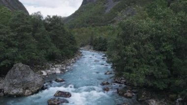 Güzel destansı Norveç nehri ve orman manzarası