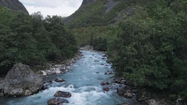 Hermoso río épico noruego y paisaje forestal — Vídeos de Stock