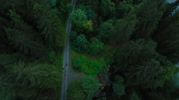 Scénický pohled na dron na cyklisty na lesní cestě — Stock video