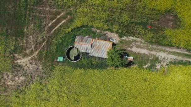 Zoom para fora vista aérea do campo de raps na primavera ensolarada — Vídeo de Stock