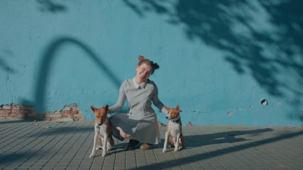 若い幸せな自信をかなりシニオロジストは シンプルな青の背景にかわいいドレスの育成者は 都市の通りに座っているだけでなく 綱の上に行動ベッセンペット 女性の笑顔 2頭のスマートバークレス犬と太陽をお楽しみください — ストック動画