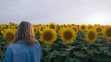 Beautiful young woman in blue shirt walk through field of sunflowers, look back and smile at camera. Authentic and real connection with nature. Smiling female beauty in field of flowers