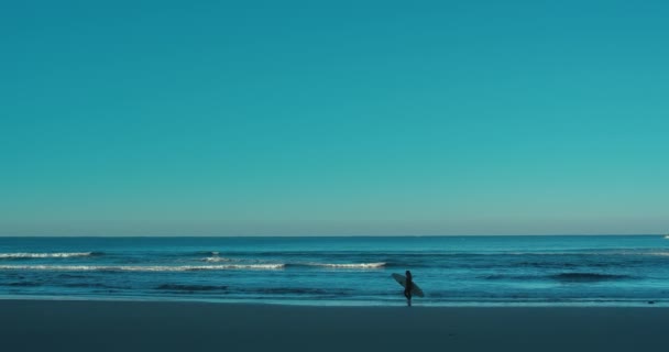 Silhouette Surfer Woman Walk Slowly Edge Water Surfboard Woman Cold — Vídeo de Stock