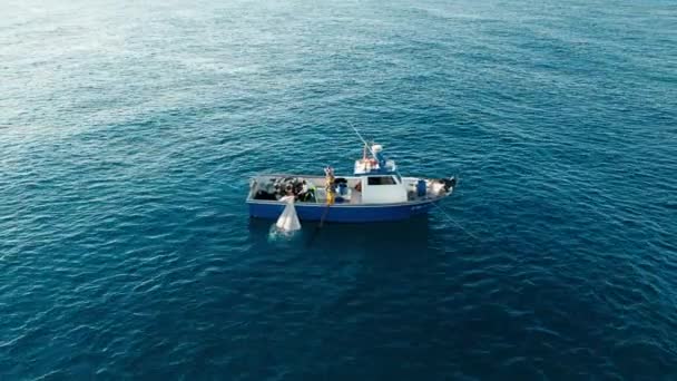 Effective Team Work Fisherman Crew Pulling Out Trawl Sardines Deep — Stock video