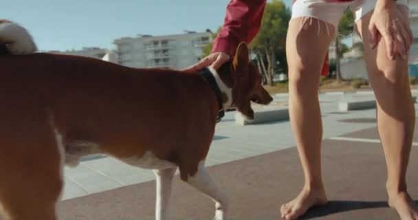 Χαριτωμένο Σκυλί Έρχεται Στον Ιδιοκτήτη Χαμογελώντας Νεαρές Γυναίκες Χασμουριέται Και — Αρχείο Βίντεο