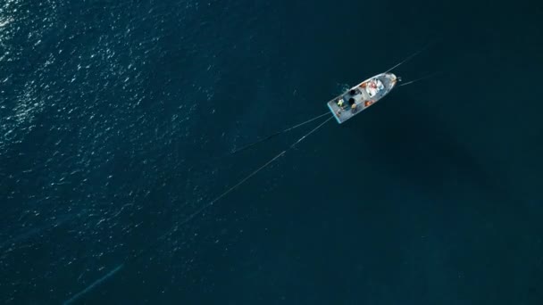 Top View Little Team Fishermen Pulling Out Huge Net Caught — Stock video