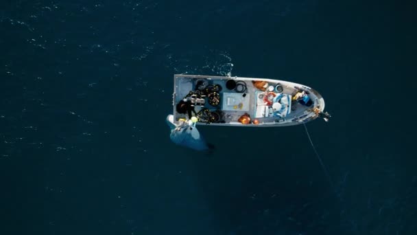 Команда Рыбаков Усердно Работает Вместе Вытаскивая Сеть Пойманной Морской Рыбой — стоковое видео