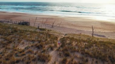 Follow shot on professional runner runs through dunes toward sand beach to ocean at sunset. Easy jogging alone on scenic place. Aerial high quality 4k footage