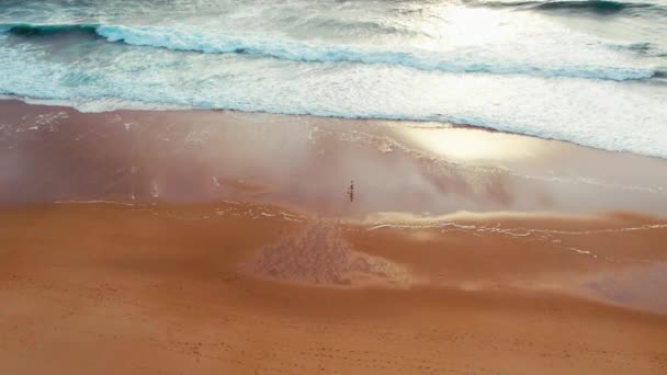 Track Shot Tiny Small Human Figure Running Walking Ocean Shore — Stockvideo