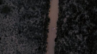 Young woman runs alone on beach with fine sand dunes at sunset. High quality 4k footage Top view tracking follow shot