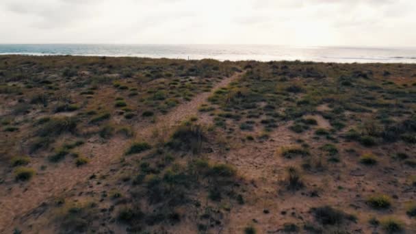 Dolly Zoom Aerial Shot Sand Dunes Beach Ocean Shoreline Sunset — Stockvideo