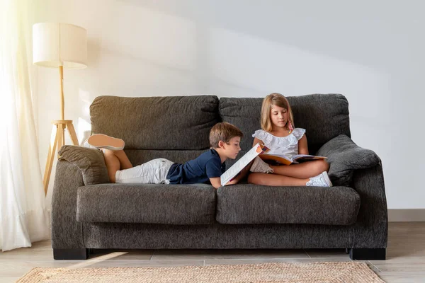 Two children reading and studying on the sofa at home. Back to school. Kids learning to read and write