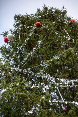 Belediye Tur Salonu 'nun yakınındaki süslenmiş Noel ağacı. Tours, Centre-Val de Loire, Fransa, 27 Kasım 2021