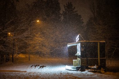 Noel arifesinde akşam vakti, büyük bir şehir parkının karanlık bir köşesinde aydınlık bir şekilde yanan yalnız bir kahve büfesi..