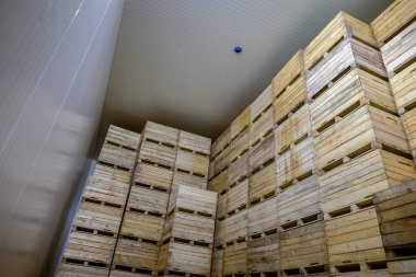 Buzdolabının içinde havasız depolama kamerası. Sebze ya da meyve katlama kabında. Büyük depo üretim tesisleri - sınıflandırma, paketleme ve ürün depolama.