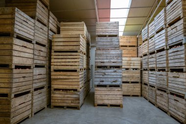 Buzdolabının içinde havasız depolama kamerası. Sebze ya da meyve katlama kabında. Büyük depo üretim tesisleri - sınıflandırma, paketleme ve ürün depolama.