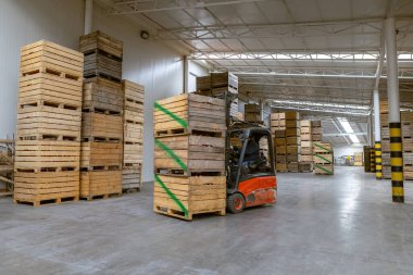 Elektrikli forkliftteki çalışan olgun elmalarla dolu konteynırı soğutucusuz bir depolama kamerasının içine taşıyor. Büyük depo üretim tesisleri - sınıflandırma, paketleme ve ürün depolama.