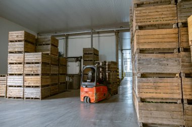 Havasız bir buzdolabı sebze ya da meyve. Elektrikli forklift konteynırı hareket ettiriyor. Büyük depo üretim tesisleri - sınıflandırma, paketleme ve ürün depolama.