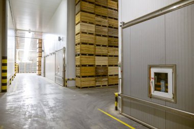 Havasız bir buzdolabı sebze ya da meyve. Büyük depo üretim tesisleri - sınıflandırma, paketleme ve ürün depolama.
