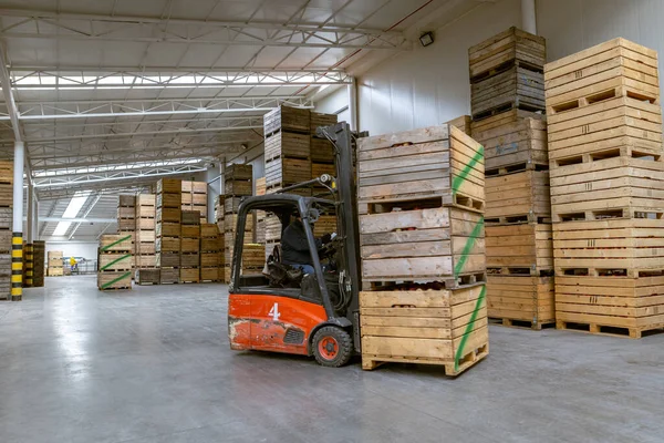 Medewerker Elektrische Vorkheftruck Verplaatst Container Met Rijpe Appels Naar Binnen — Stockfoto